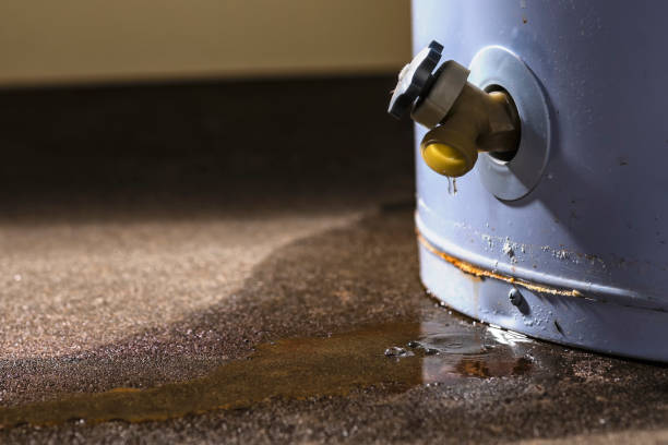 Best Ceiling water damage repair  in Brewster, NY