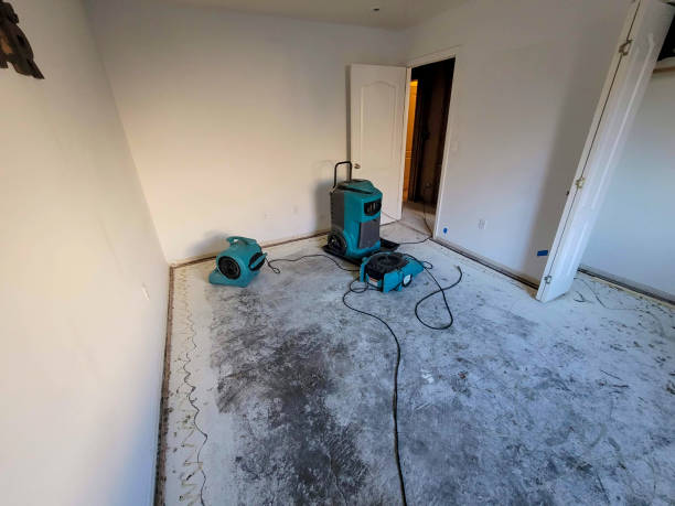 Best Water damage mitigation services  in Brewster, NY