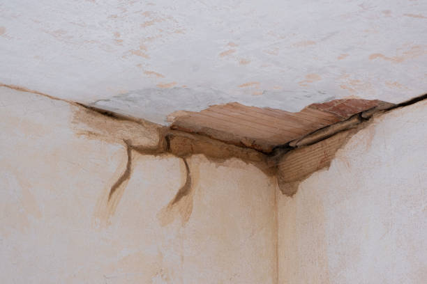 Best Water damage restoration near me  in Brewster, NY