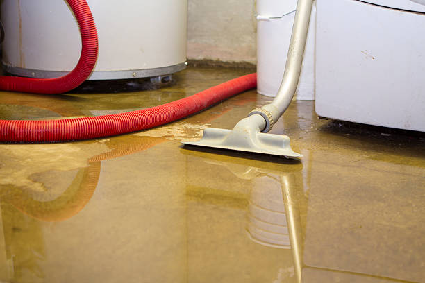 Best Flood restoration services  in Brewster, NY