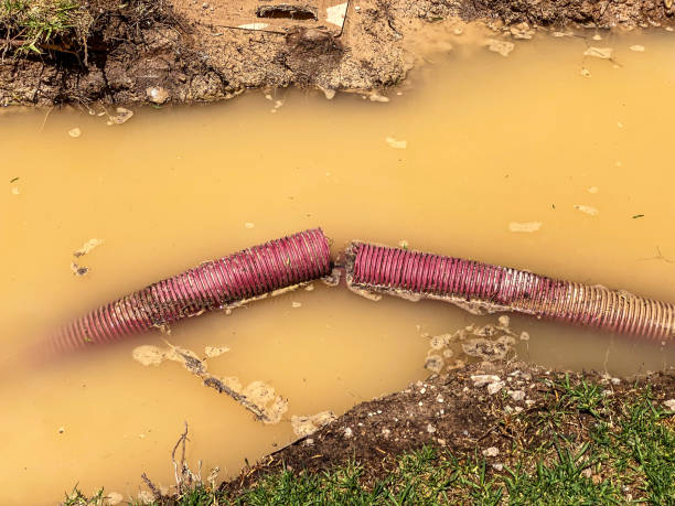 Best Water damage restoration company  in Brewster, NY